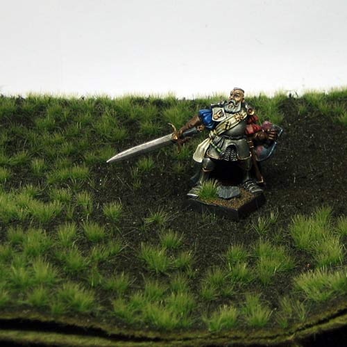 Erdboden bewachsen (Sommer)