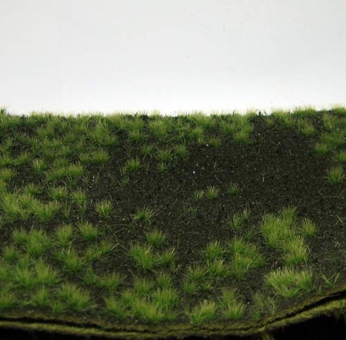 Erdboden bewachsen (Sommer)