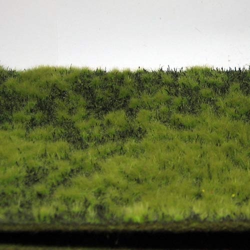 Erdboden bewachsen (Frühling)