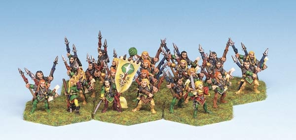 Wood Elf Heavy Infantry (24)
