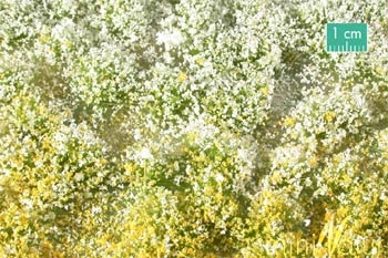 Blütenbüschel (Frühling)