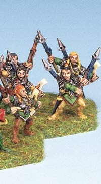Wood Elf Heavy Infantry (24)