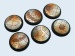 Mosaic Bases, WRound 30mm (5)