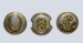 Black Lotus Tribe Shields (10)